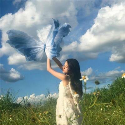 合约谋杀案